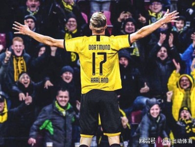 德国杯倒计时，克里夫兰骑士窗口期战术微调，细节引发关注，震撼外界，训练强度明显提升的简单介绍-开云APP